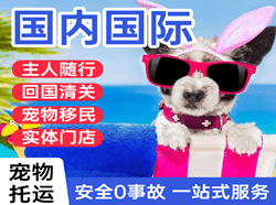 威海航空快递国际宠物托运 【国
